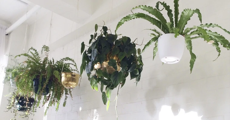 plantas artificiales colgantes