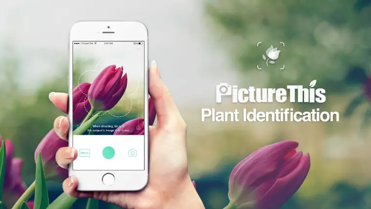 PictureThis app para identificar las plantas