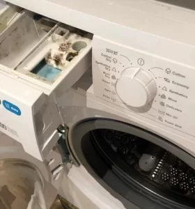 cómo limpiar el moho de la lavadora
