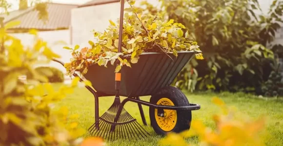 como preparar el jardin para el invierno