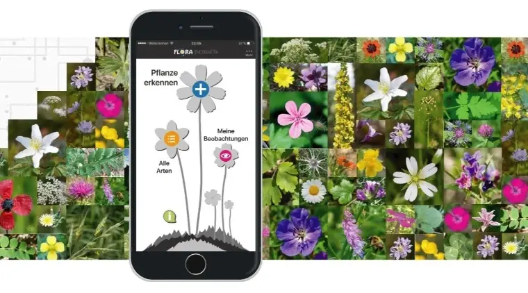 flora incógnita app para identificar plantas