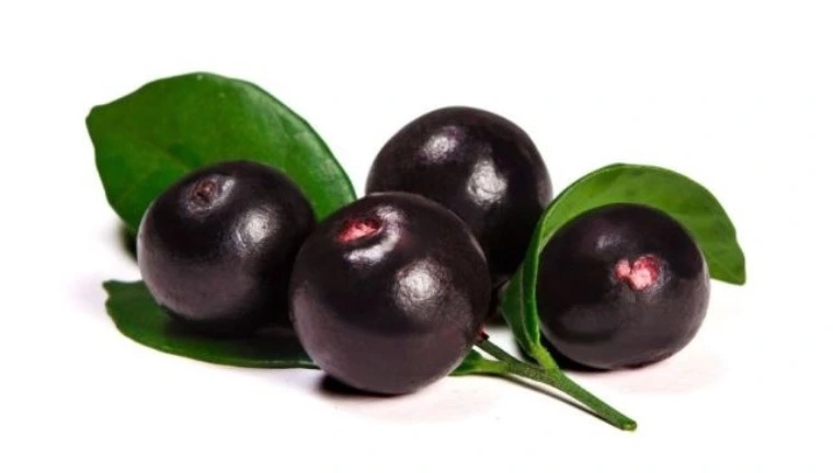 La fruta Acai