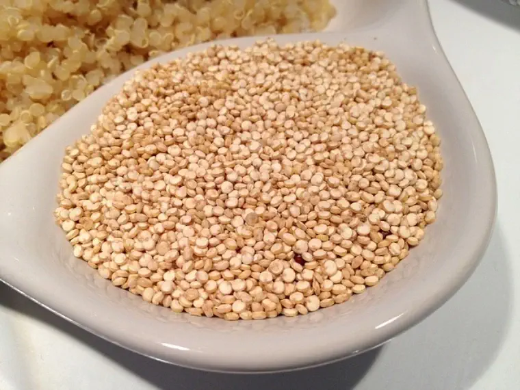 Superalimentos, o cereal superalimento Quinoa
