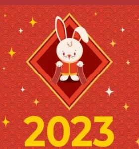 feliz año nuevo 2023 el año del consejo