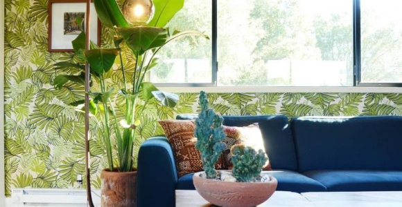 tendencias de plantas interiores 2023