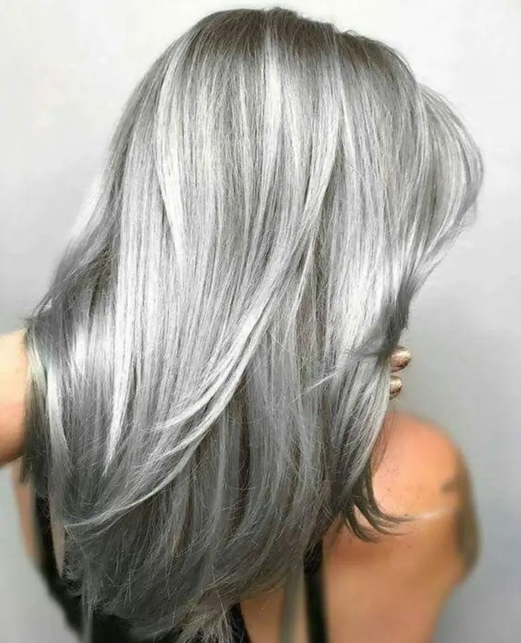 cortes de cabelo com cabelos grisalhos para mostrar cabelos longos