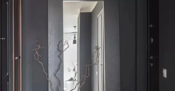 entrada color negro ideas