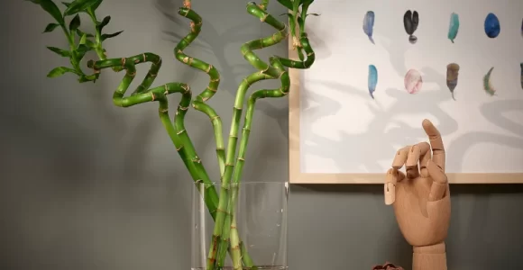 La planta de Bambú