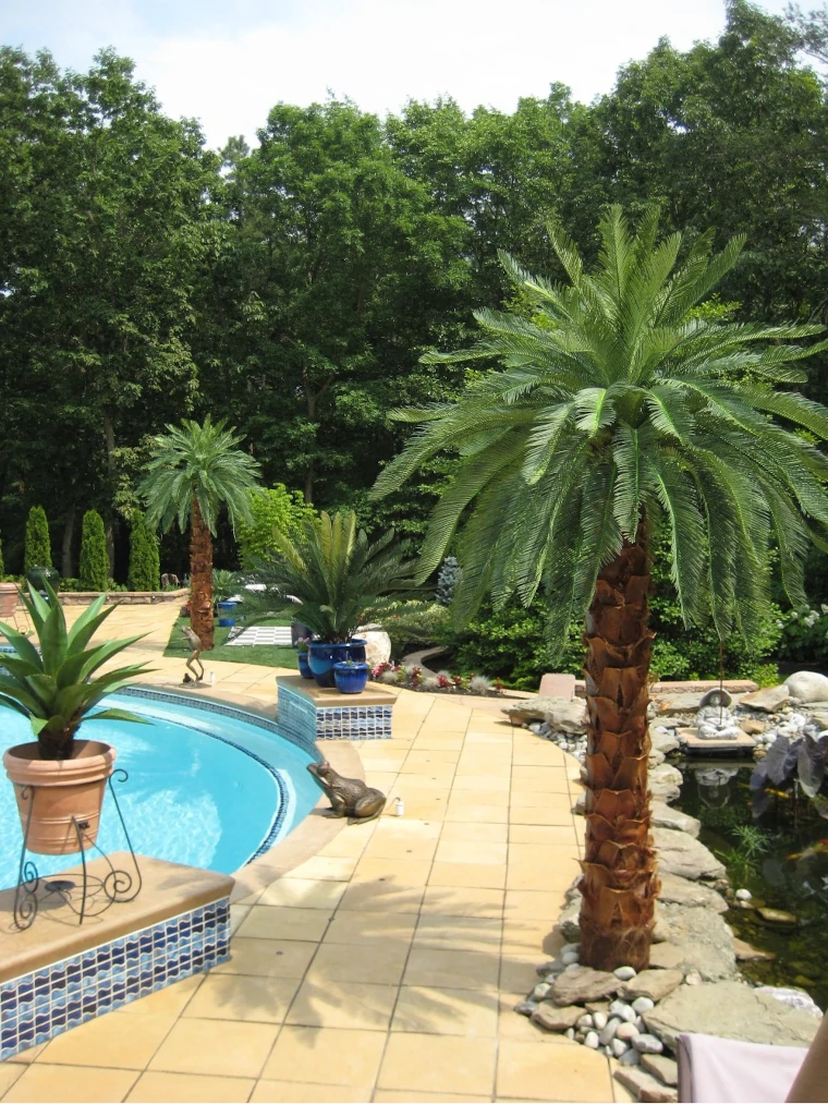 Las palmeras artificiales para exteriore también son una opción para decoración