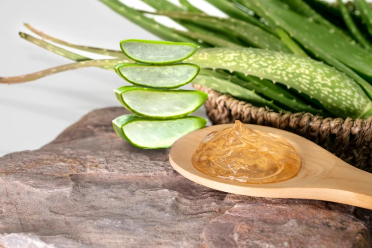 Aloe Vera reduce la aparición de arrugas en la piel