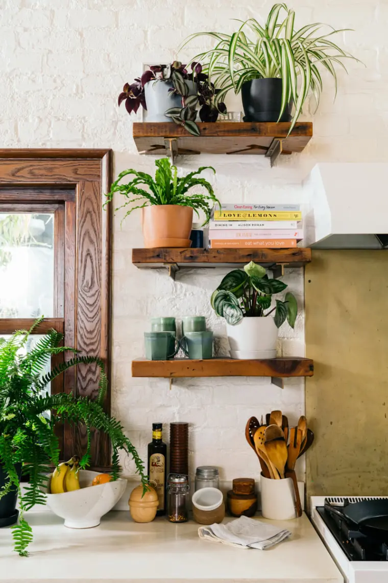 ideas-plantas-cocina-estantes
