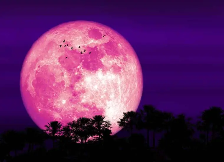 super luna de abril color rosa