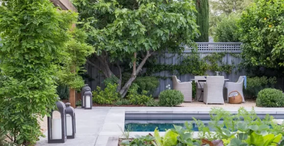plantas jardin ideas piscina