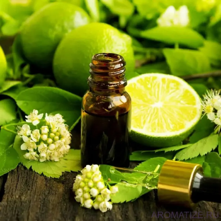 aceite para el cabello bergamont 2023