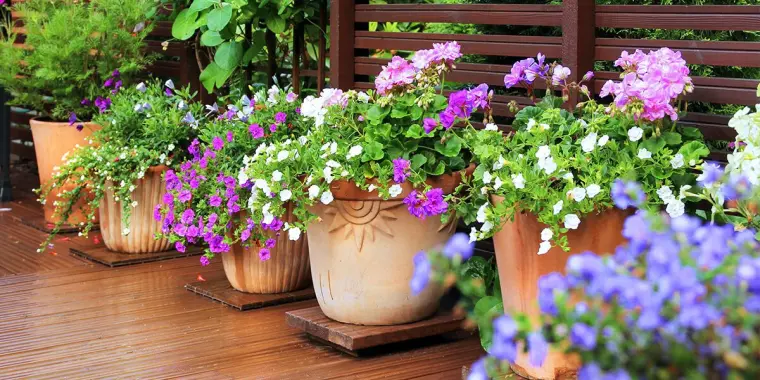 flores en macetas balcon estilo