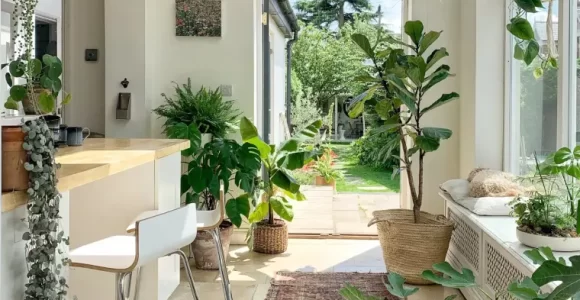 jardin en casa plantas para espacio zen
