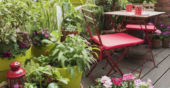 plantar plantas en macetas para decorar balcones pequeños