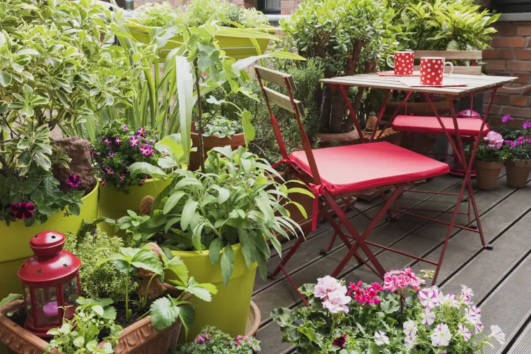 plantar plantas en macetas para decorar balcones pequeños