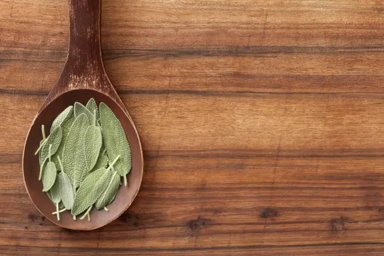 valores nutricionales salvia salud