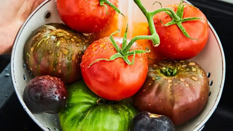 maneras para conservar tomates