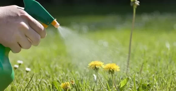 consejos para hacer herbicida natural