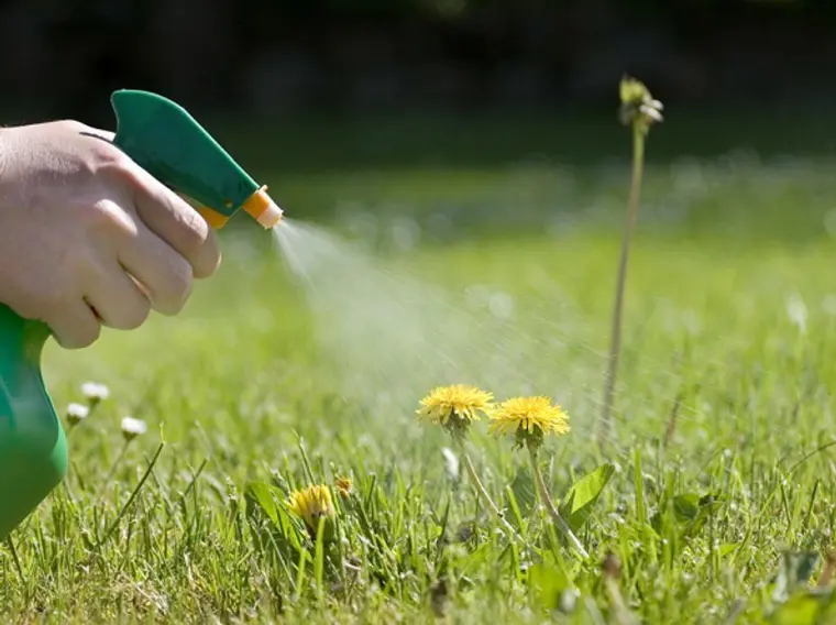 consejos para hacer herbicida natural