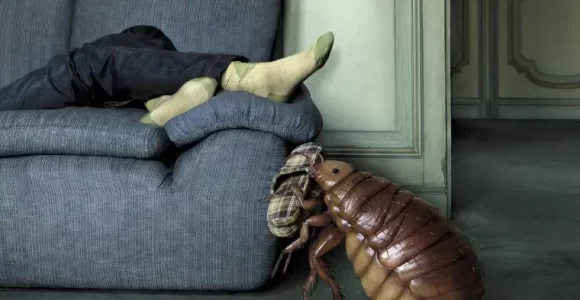 como combatir la chinches en casa